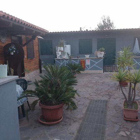 Aquila Di Mare Villa Фиумичино Стая снимка